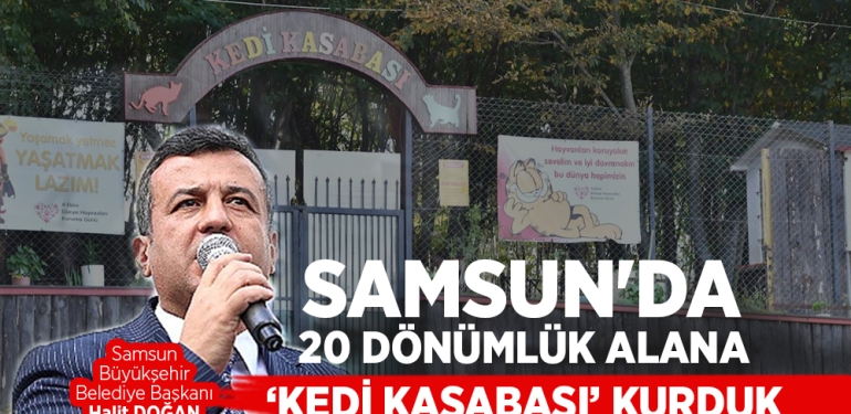 Samsun’da ‘Kedi Kasabası’ Kuruldu