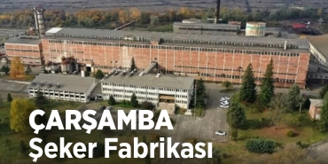 Çarşamba Şeker Fabrikası, Akıbeti Netlik Kazandı