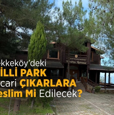 Samsun’daki Milli Park Ticari Çıkarlara Teslim Mi Edilecek