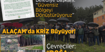 Alaçam’da Ağaçlık Alanın İmara Açılması Krize Yol Açtı