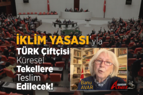 Banu Avar’dan İklim Yasası Uyarısı