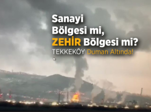 Tekkeköy Duman Altında