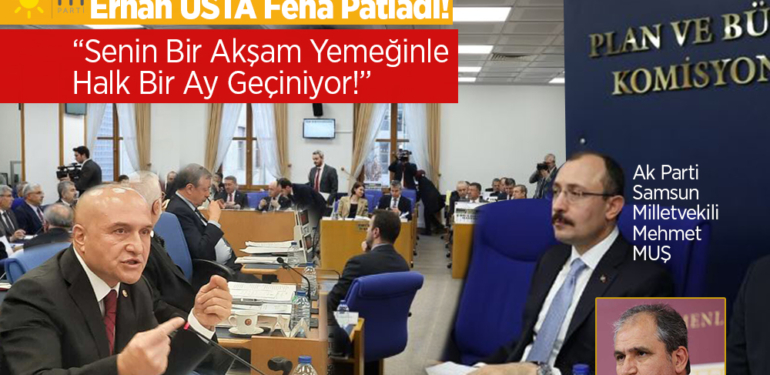 Erhan Usta Plan Bütçe Komisyonu’nda Patladı
