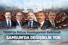 Samsun Milletvekilleri Komisyon Görevlerine Devam Ediyor