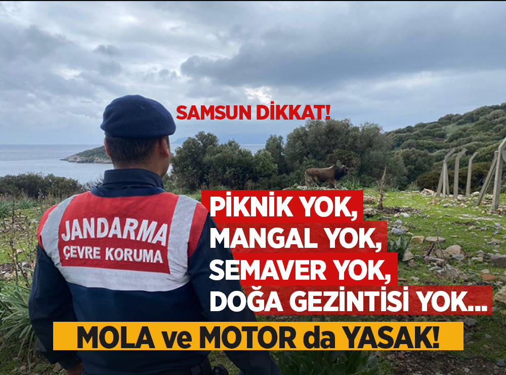 Samsun’da Ormanlara Giriş Yasaklandı!