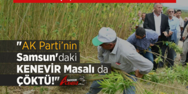 Vezirköprü’de Kenevir Masalı Çöktü!