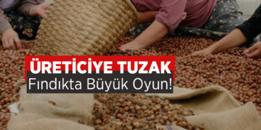Fındıkta Büyük Tuzak