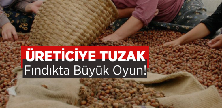 Fındıkta Büyük Tuzak
