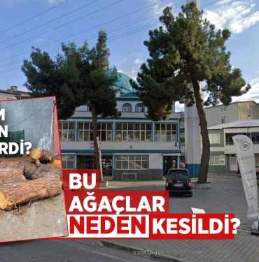 Samsun’da Cami Önündeki Sağlam Ağaçlar Kesildi