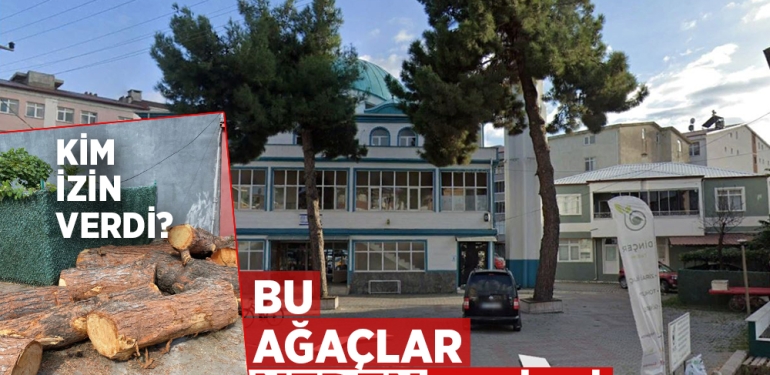 Samsun’da Cami Önündeki Sağlam Ağaçlar Kesildi