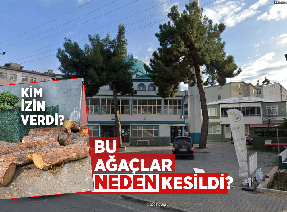 Samsun’da Cami Önündeki Sağlam Ağaçlar Kesildi