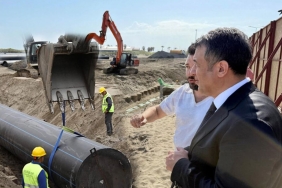 Atakum Sahilinde Yürütülen Çalışma Ne
