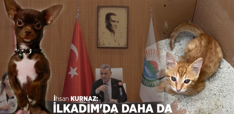 İlkadım’da İnsanlar ve Can Dostlar Artık Güvende