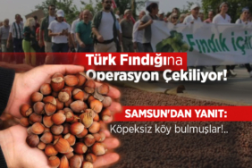 Türk Fındığına Operasyon Çekiliyor!