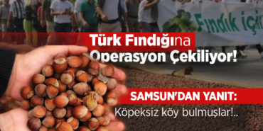 Türk Fındığına Operasyon Çekiliyor!