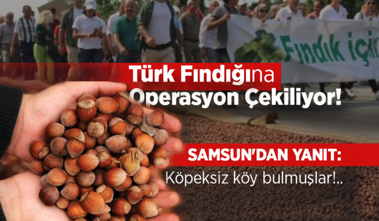 Türk Fındığına Operasyon Çekiliyor!