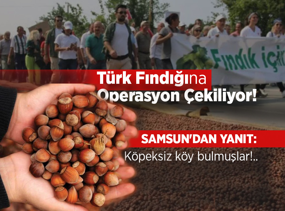 Türk Fındığına Operasyon Çekiliyor!