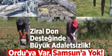 Zirai Don Desteğinde Büyük Adaletsizlik!