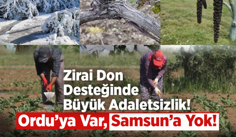 Zirai Don Desteğinde Büyük Adaletsizlik!