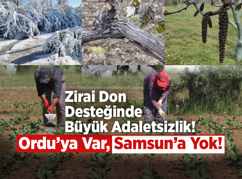 Zirai Don Desteğinde Büyük Adaletsizlik!
