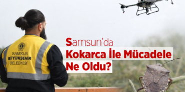 Samsun’da Kokarca İle Mücadele Ne Oldu