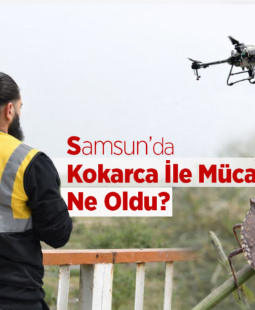 Samsun’da Kokarca İle Mücadele Ne Oldu