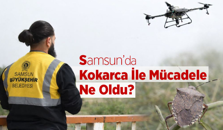 Samsun’da Kokarca İle Mücadele Ne Oldu?