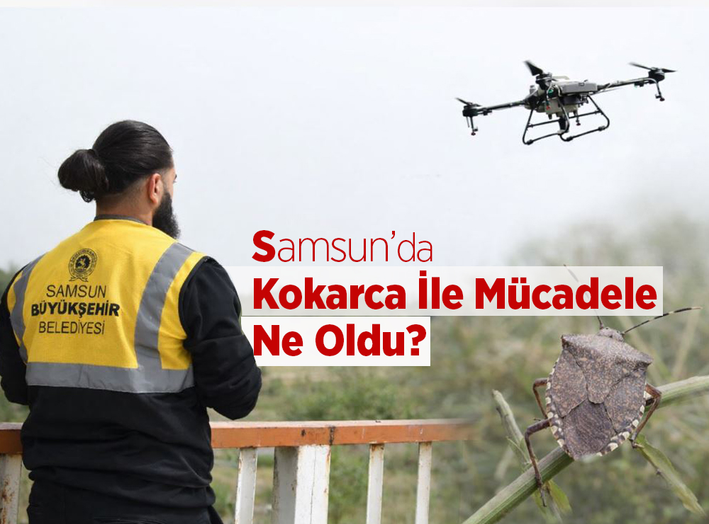 Samsun’da Kokarca İle Mücadele Ne Oldu
