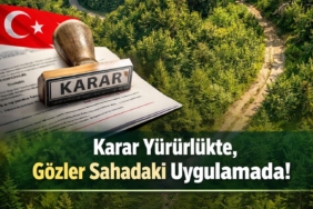 Samsun’da Kritik Orman Düzenlemesi Yürürlükte