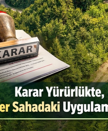 Samsun’da Kritik Orman Düzenlemesi Yürürlükte