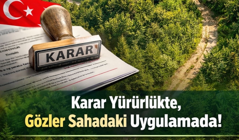 Samsun’da Kritik Orman Düzenlemesi Yürürlükte