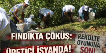 Fındıkta Çöküş Üretici İsyanda!