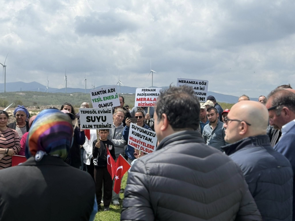 Samsun'daki Doğa Katliamına Acil Müdahale Çağrısı