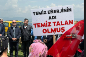 Samsun'daki Doğa Katliamına Acil Müdahale Çağrısı