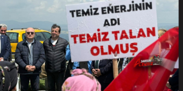 Samsun'daki Doğa Katliamına Acil Müdahale Çağrısı
