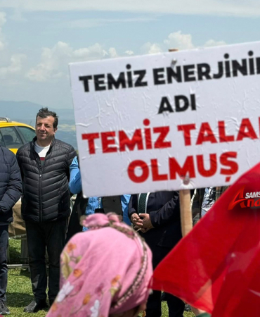 Samsun'daki Doğa Katliamına Acil Müdahale Çağrısı