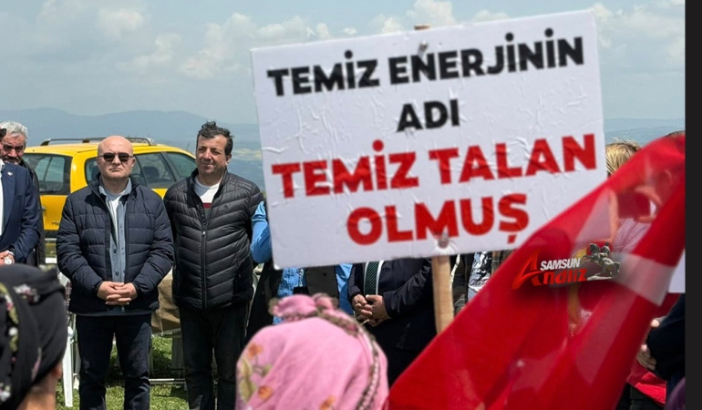 Samsun’daki Doğa Katliamına Acil Müdahale Çağrısı