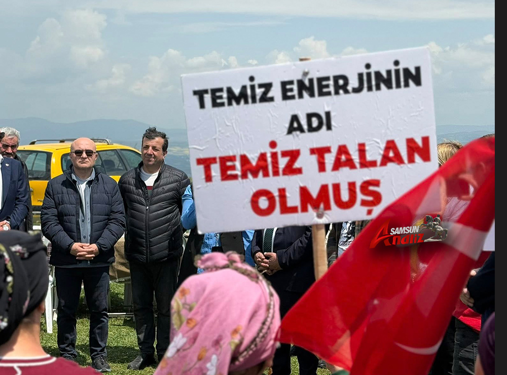Samsun'daki Doğa Katliamına Acil Müdahale Çağrısı