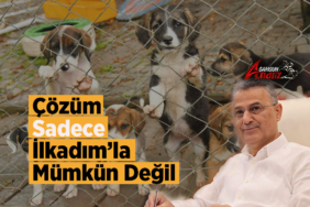 İlkadım’da Sokak Hayvanları Tartışması