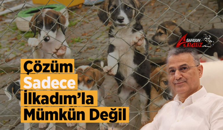 İlkadım’da Sokak Hayvanları Tartışması