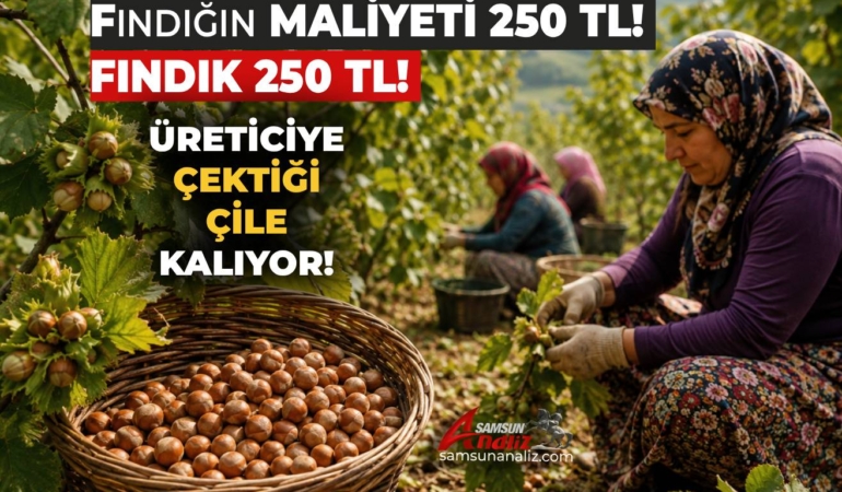 Fındık Üreticisi Bu Sene de Mağdur Ediliyor