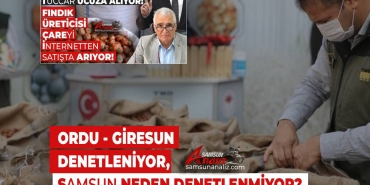 Fındıkta Samsun Neden Kapsam Dışı?