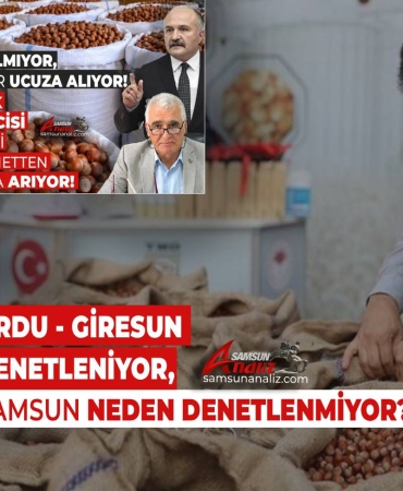 Fındıkta Samsun Neden Kapsam Dışı?