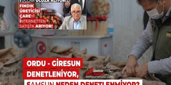 Fındıkta Samsun Neden Kapsam Dışı?