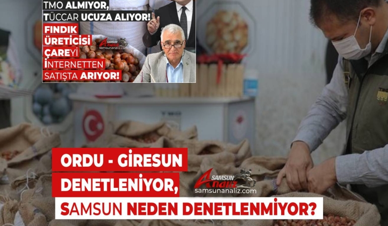 Fındıkta Samsun Neden Kapsam Dışı?
