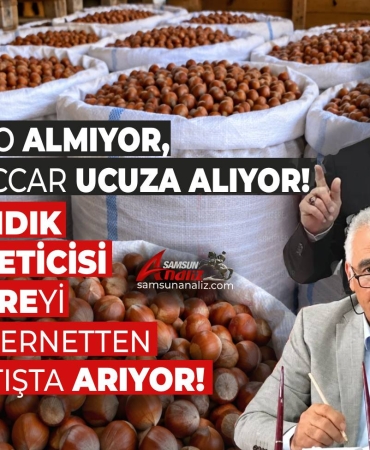 TMO’nun 250 TL Dediği Fındık Serbest Piyasada 180 TL!
