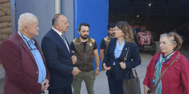 Samsun’da Fındıktan Sonra Çeltik Üreticisi de Perişan