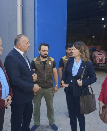 Samsun’da Fındıktan Sonra Çeltik Üreticisi de Perişan